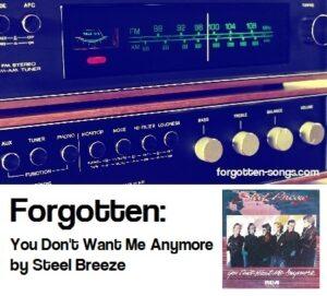 Forgotten: You Don't Want Me Anymore by Steel Breeze