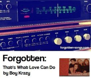 Forgotten: That's What Love Can Do by Boy Krazy.